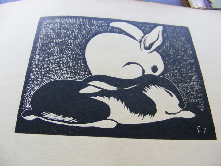 biblioteca 272 copy.jpg